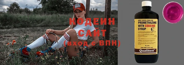 дживик Сясьстрой