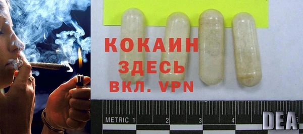 шишки Вяземский