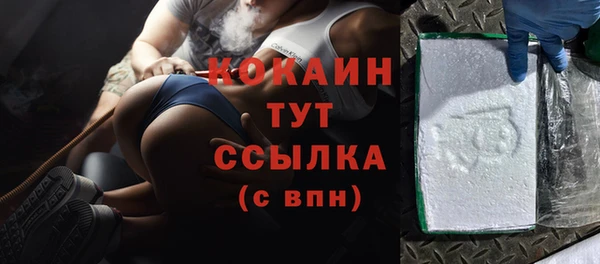 дживик Сясьстрой