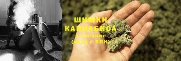 амф Тайга