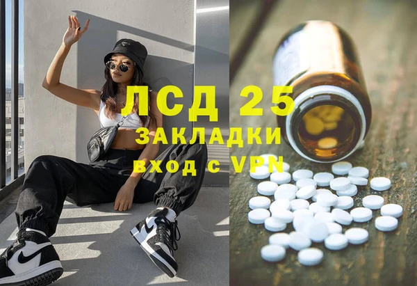 шишки Вяземский