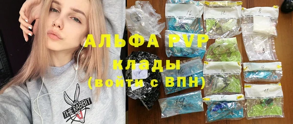 амф Тайга
