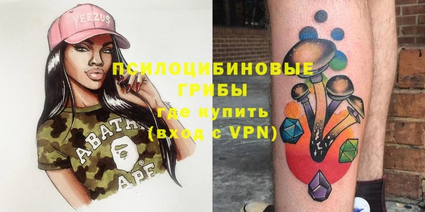 шишки Вяземский