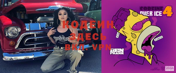 шишки Вяземский