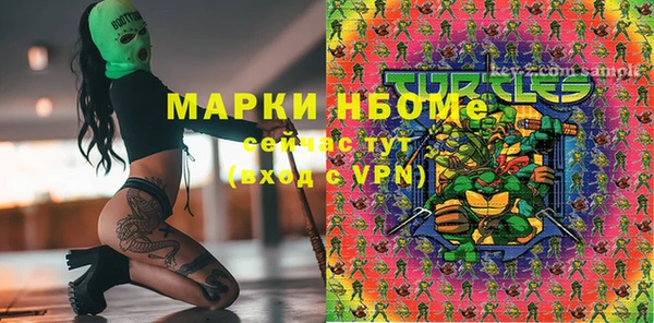 шишки Вяземский