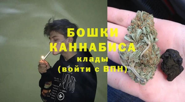 шишки Вяземский