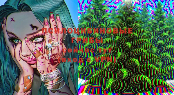 прущая мука Тавда