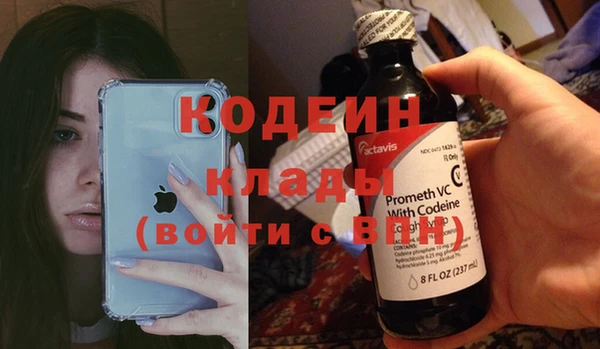 шишки Вяземский