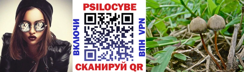 Галлюциногенные грибы MAGIC MUSHROOMS  Меленки 
