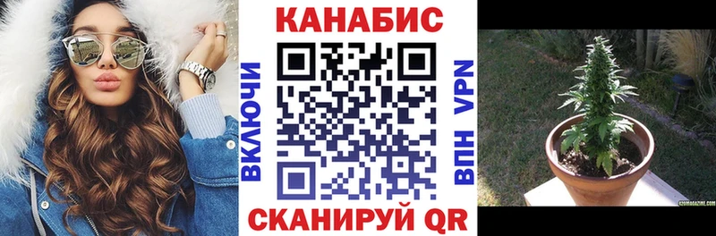 Шишки марихуана MAZAR  Меленки 